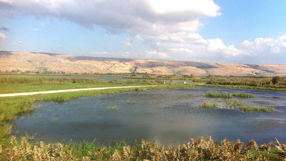 אגמון החולה טיול משפחתי